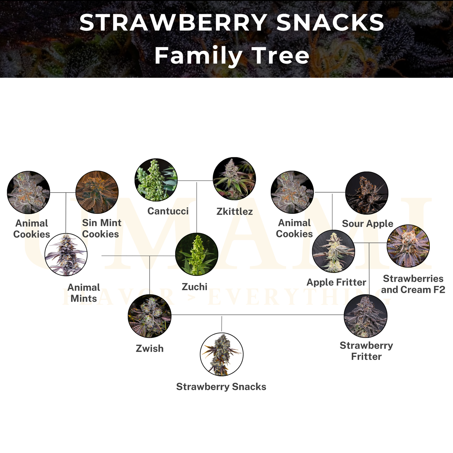 Umami Seed Co - Strawberry Snacks