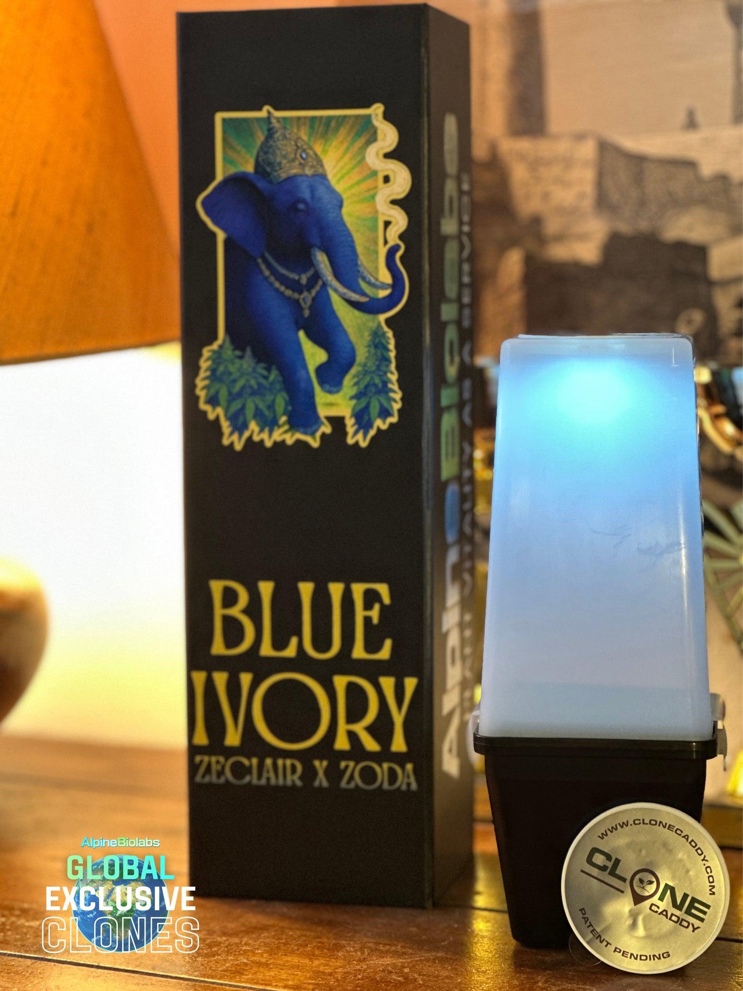 Umami Seed Co - Blue Ivory (Available from Dec 2nd - 18:30 CET)